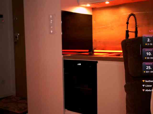 VIRTUAL_MUSE webcam