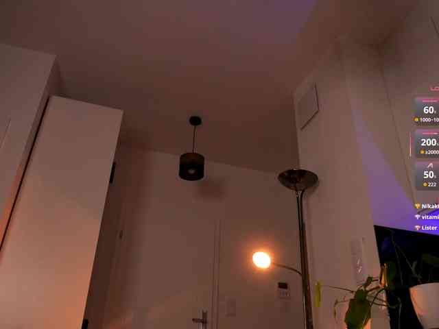 VIRTUAL_MUSE webcam