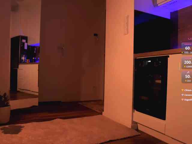 VIRTUAL_MUSE webcam