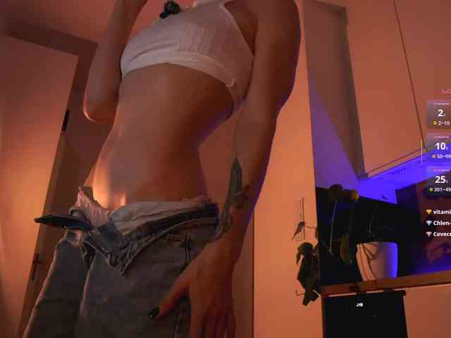 VIRTUAL_MUSE webcam
