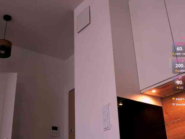 VIRTUAL_MUSE webcam