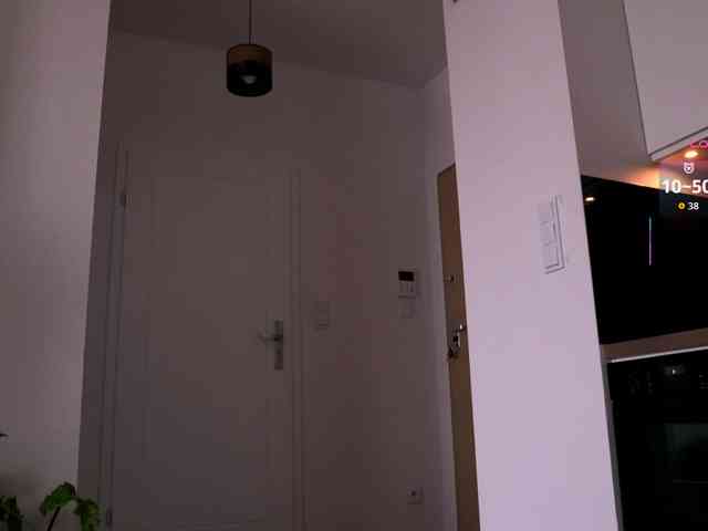VIRTUAL_MUSE webcam