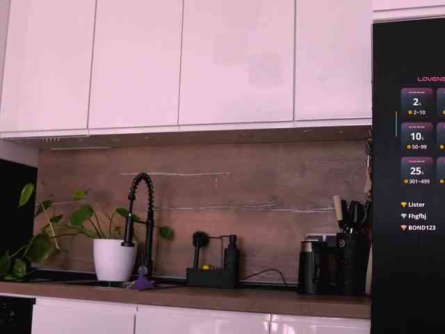 VIRTUAL_MUSE webcam