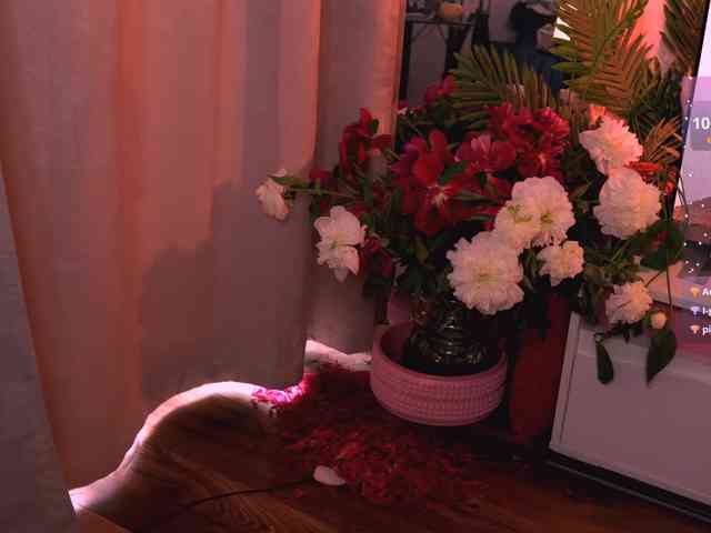 VIRTUAL_MUSE webcam