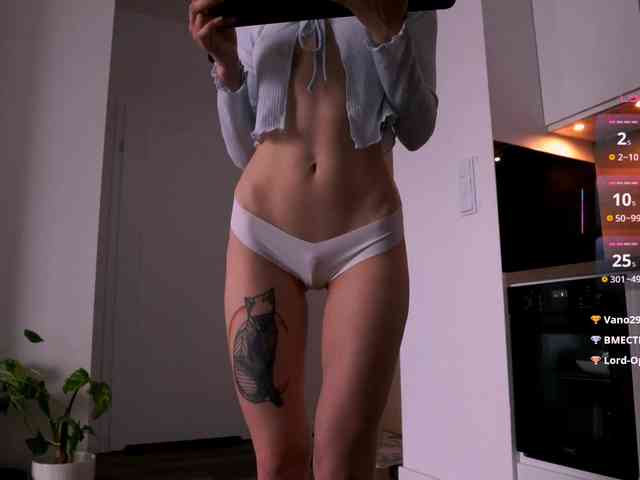 VIRTUAL_MUSE webcam