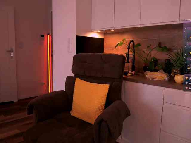 VIRTUAL_MUSE webcam