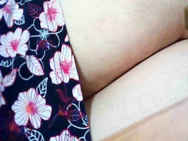 SEKSI-444 webcam