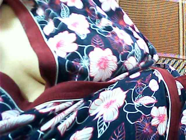 SEKSI-444 webcam