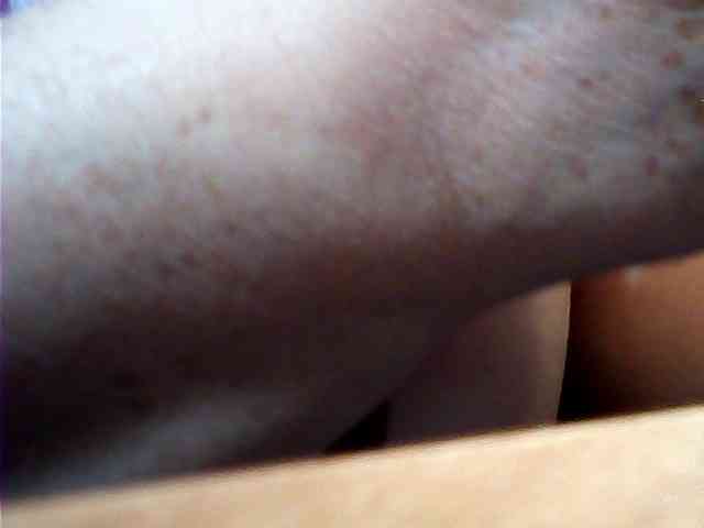 SEKSI-444 webcam