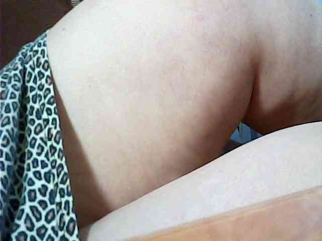 SEKSI-444 webcam