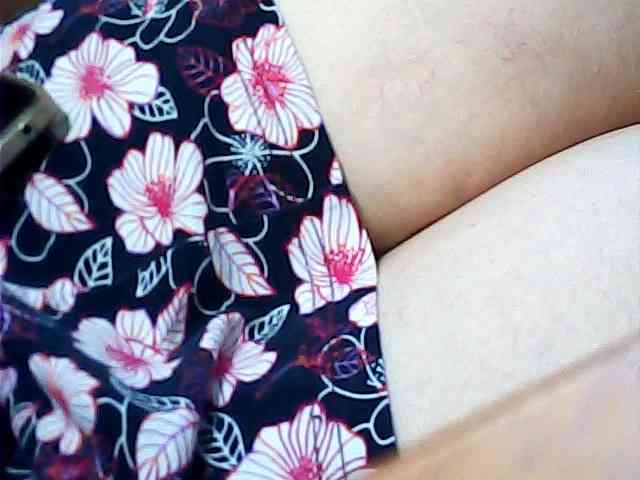 SEKSI-444 webcam