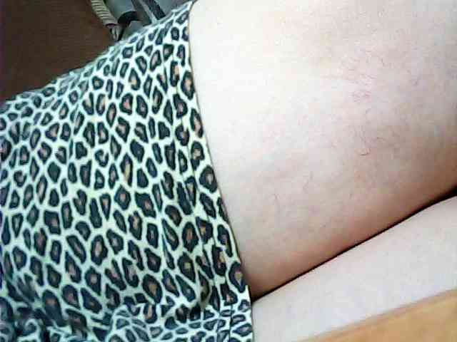 SEKSI-444 webcam