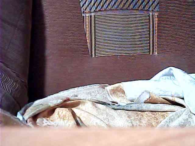 SEKSI-444 webcam