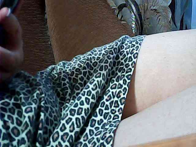 SEKSI-444 webcam