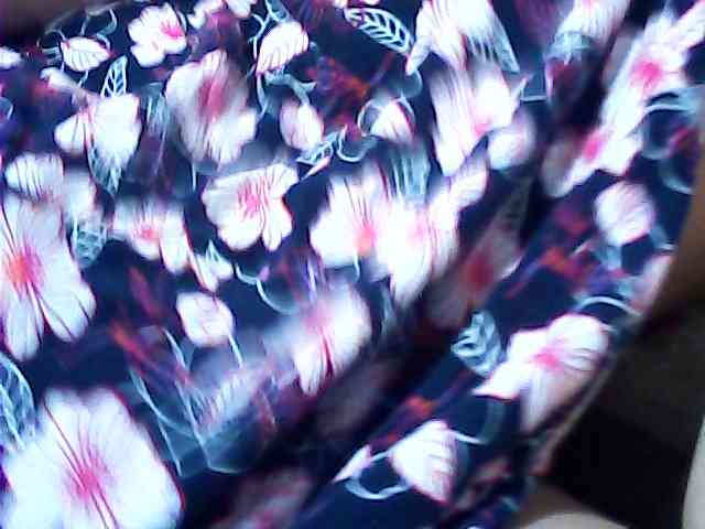 CrimsonVeil webcam