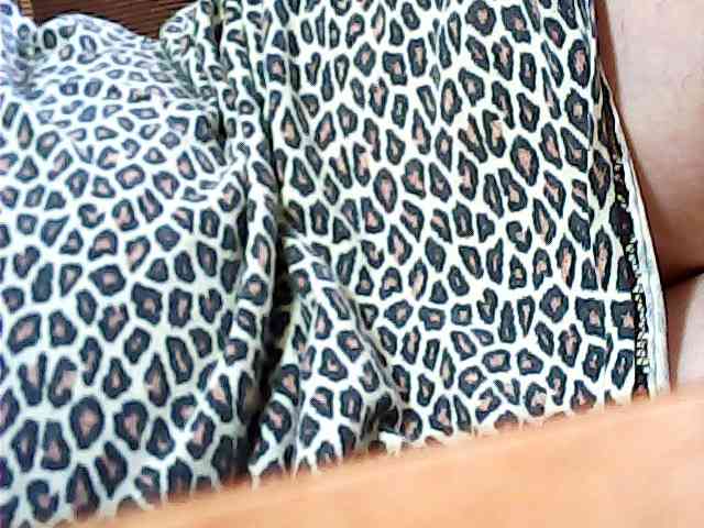 SEKSI-444 webcam