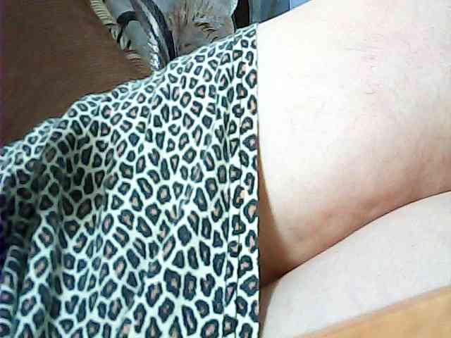 SEKSI-444 webcam