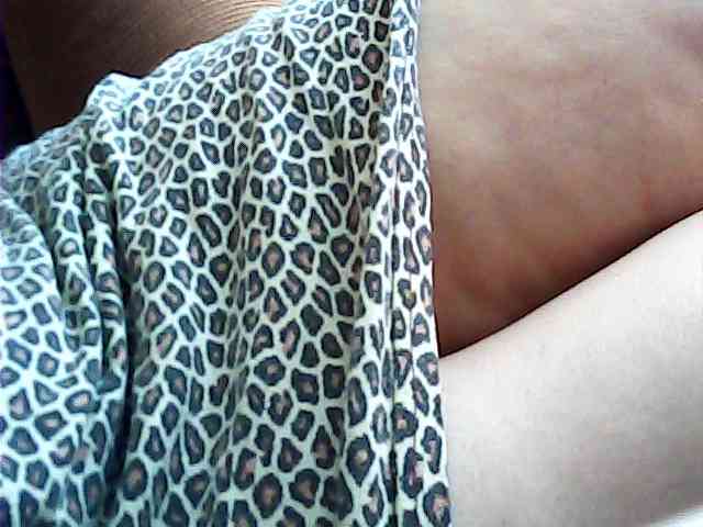 SEKSI-444 webcam