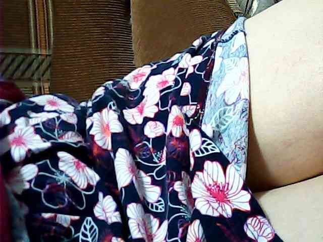 SEKSI-444 webcam