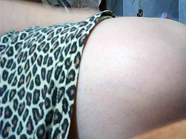 SEKSI-444 webcam
