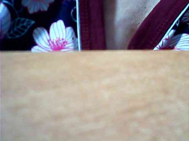 SEKSI-444 webcam
