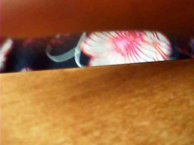 CrimsonVeil webcam