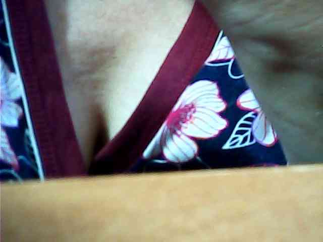 SEKSI-444 webcam