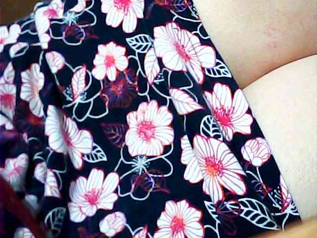 SEKSI-444 webcam