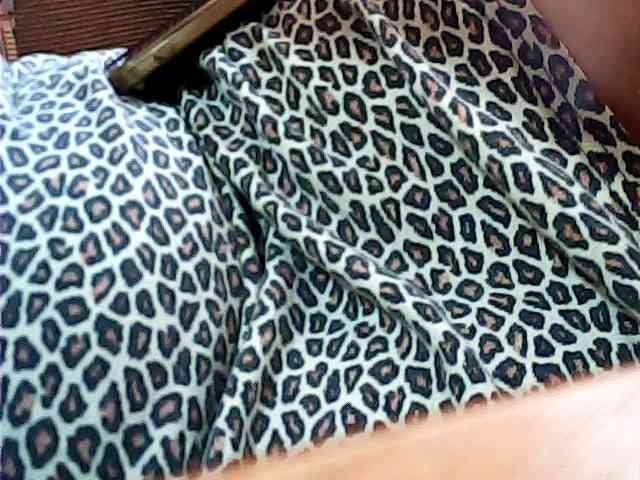 SEKSI-444 webcam