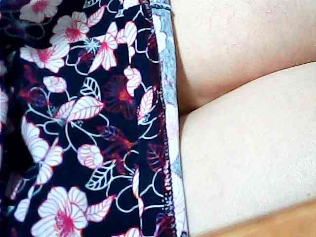 SEKSI-444 webcam