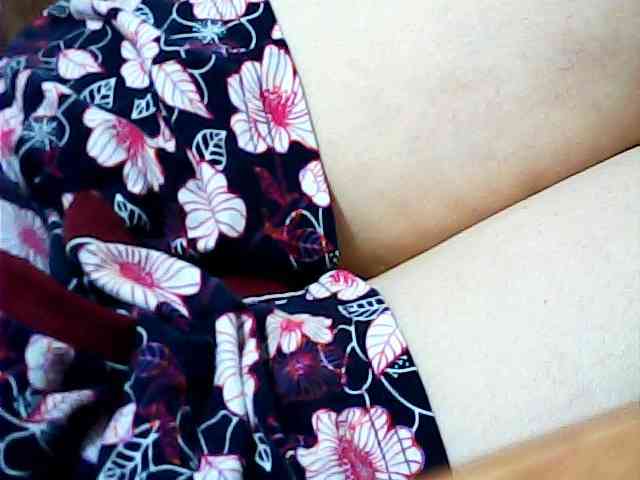 SEKSI-444 webcam