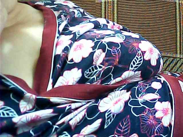 SEKSI-444 webcam
