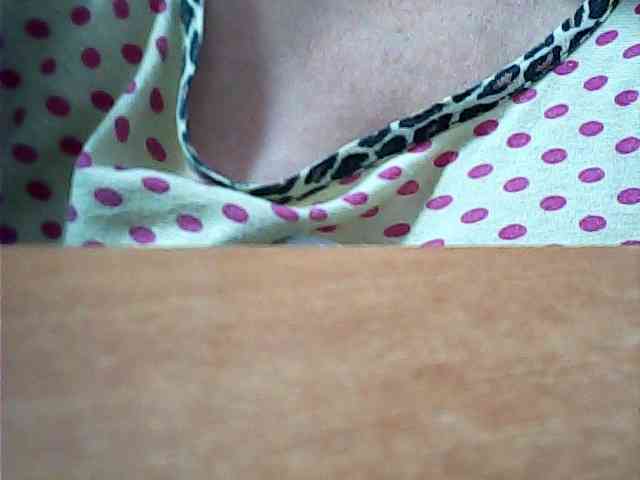 SEKSI-444 webcam
