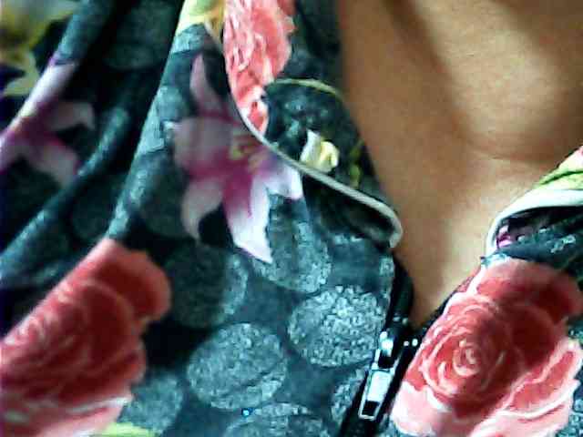 SEKSI-444 webcam
