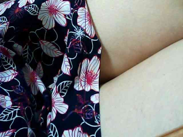 SEKSI-444 webcam