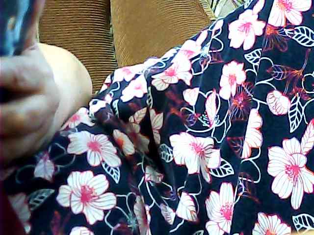 SEKSI-444 webcam