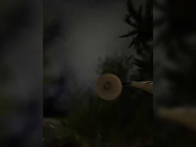 Vishenka7777