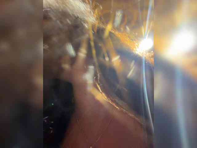 __Baby__ webcam