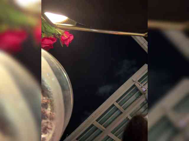 Модель: __Baby__