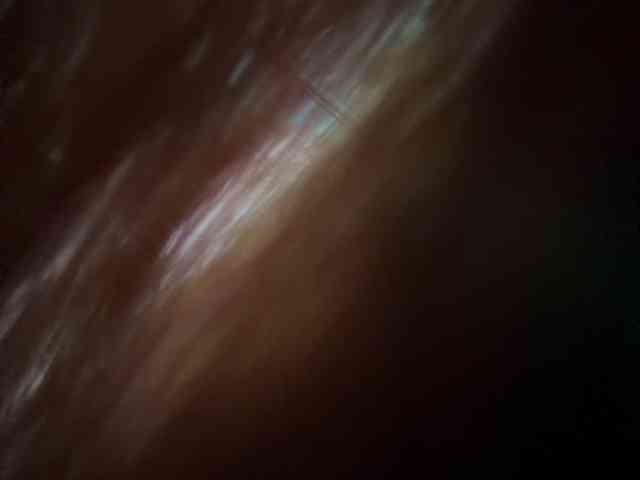 __Baby__ webcam