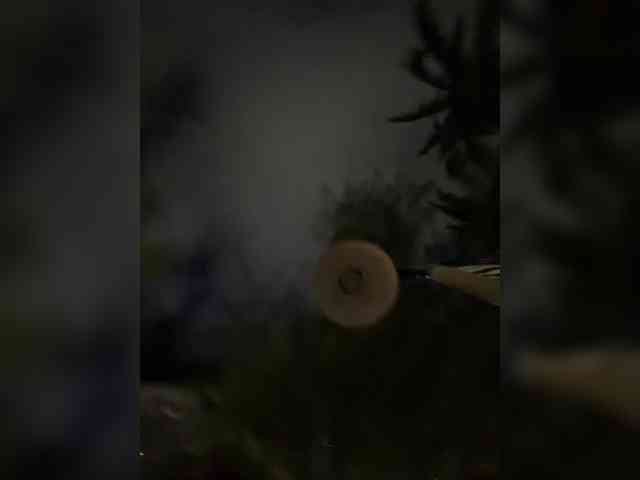 __Baby__ webcam