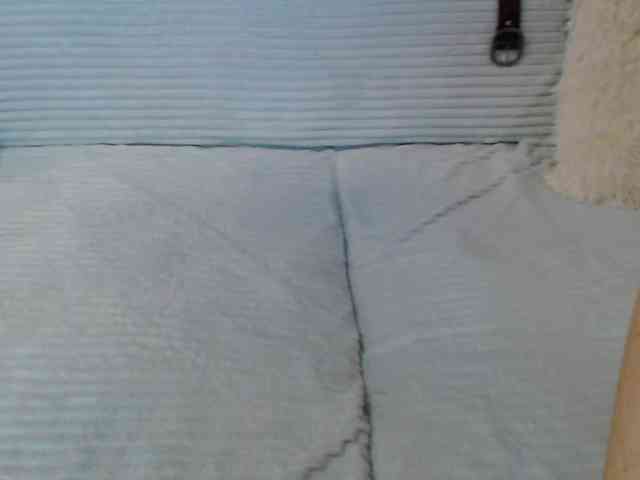 Icehotangel webcam