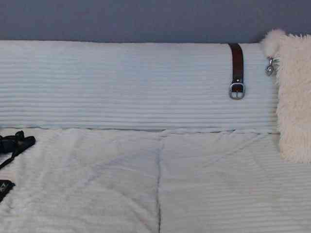 Icehotangel webcam