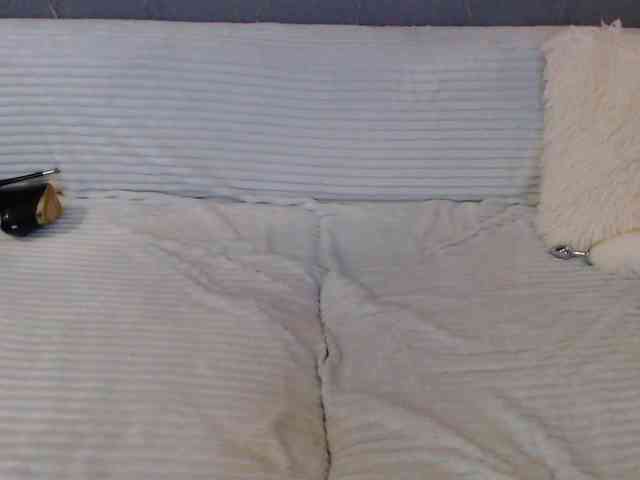 Icehotangel webcam