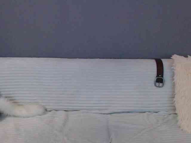 Icehotangel webcam