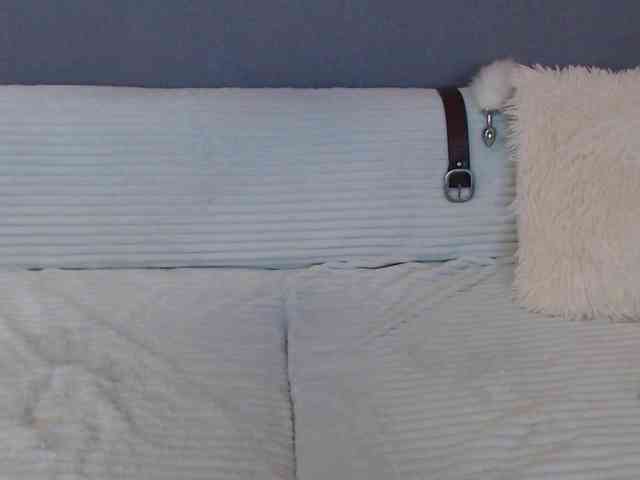 Icehotangel webcam