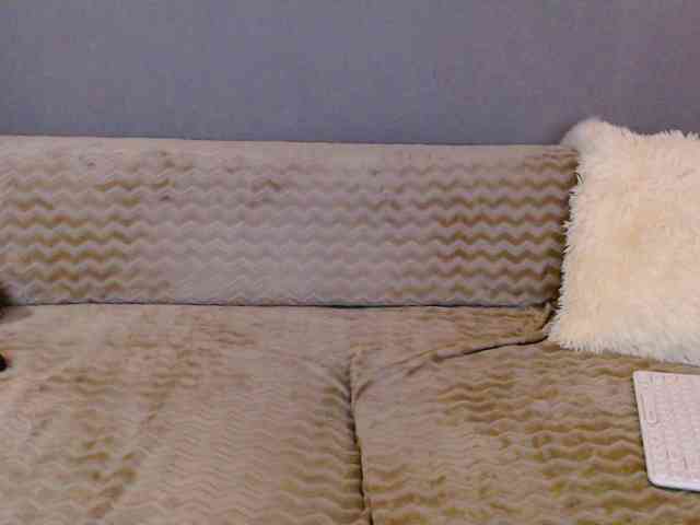 Icehotangel webcam