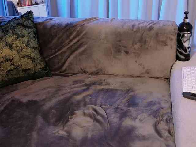 Icehotangel webcam