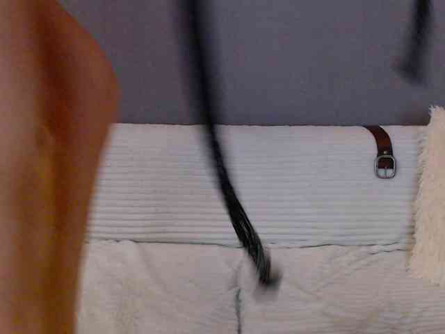 Icehotangel webcam