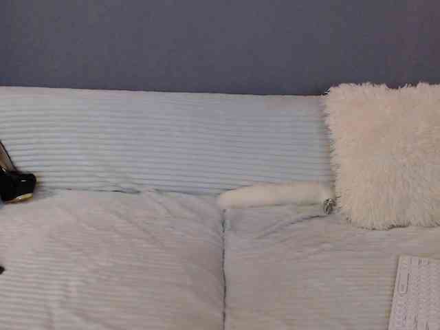 Icehotangel